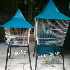 Kandang beo/parrot &ayam