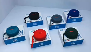 T&G TG808 2 in 1 Function TWS Portable Multi Function Wireless Speaker with TWS Bluetooth Earphone