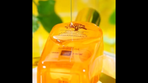 Arganmidas Volume Treatment Oil 100ml for All Hair Types Improves Elasticity Taming Frizz Lasting Hydration Protection