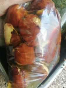 ลูกเนียงพม่าดอง1kilo