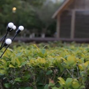 DJDMax Lampu Tenaga Surya 8 LED Dekorasi Taman Luar Ruangan Lampu Lanskap Kembang Api Firefly Lampu Taman Dekorasi Taman Rumput / Solar Led Light Outdoor Dekorasi Taman / Lampu Rumput Rumah Teras Balkon Dekorasi Lampu Kunang Kunang Tahan Air Tanpa Listrik