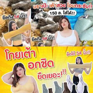 สปอร์ตบราสำหรับสาวอวบ สปอร์ตบราไซส์ใหญ่ 👙👗 ผ้านุ่ม ลื่น กระชับ ไร้ตะขอ ไร้โครง