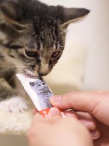 Snack Kucing Cemilan Kucing 16gr/Strip Cat Strip Snack Hewan Peliharaan Makanan Ringan Basah