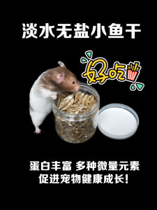Cat Hamster Djungarian Hamster Minipet Grain Molar Calcium Supplement Snack Turtle Fish Wild Fresh Water Dried Minnows