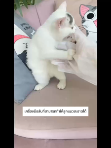 ถุงมือทำความสะอาดสัตว์เลี้ยง อ่อนโยน วัสดุธรรมชาติ ลดกลิ่นสาปถุงมือเช็ดตั ใช้งานง่าย ทิชชู่เปียกเช็ดตัว เช็ดแมว ทิชชู่เปียกเช็ด ทิชชู่เปียกหมา ถุงมืออาบน้ำแมว ถุงมืออาบน้ำสุนัข