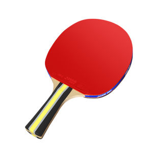 DHS | Beginner Friendly Table Tennis Racket