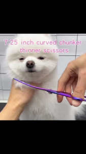 NO LIMIT KNIFEZER Set Gunting Rambut Bulu Hewan Peliharaan Domba Kucing Anjing Grooming Lengkap