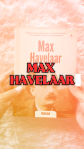 Max Havelaar - Multatuli