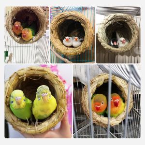 Natural straw bird nest for bird cage LARGE flat nest for rutin chicken