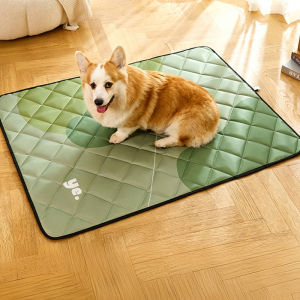 DUDU Pet Waterproof Pet Mat for Dogs Cats - Moisture-Proof Oxford Cloth Dog Bed Mat for Floor Sofa Cage All Seasons