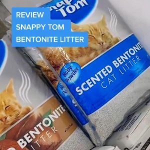 Snappy Tom - Cát đất sét vệ sinh cho mèo vón cục siêu tốt ít bụi 5L / 4kg