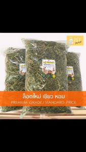หญ้าอัลฟาฟ่า 1 กิโลกรัม by pet premium หญ้ากระต่าย หนูแกสบี้ แฮมเสตอร์ เฟอร์เรท ชินชิล่า แพรี่ด๊อก เต่าบก