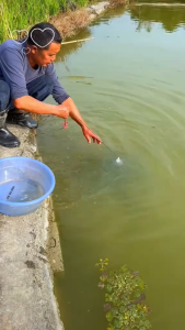 Lưới Bát Quái Ô Dù 8 Cửa Bắt Cá Tôm Tép Cua Lươn Trạch - Tiện lợi Và Dễ Dàng Sử Dụng