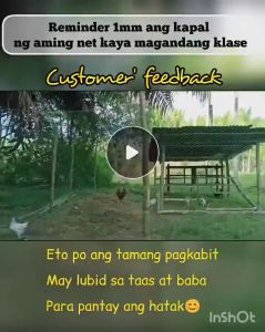 【Super Durable Free rope】100/200/300M Chicken Net Range Net For Chicken Lambat Outdoor Bird Net