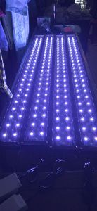 lampu tanning arwana 30 titik mata led hpl 30.000k