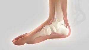 Heel Pain Patch for Fascial Bone-Removing Thorn Inflammation and Achille Tendon Inflammation/Plantar Fasciitis Heel Spur/Solve Pain on the Ground When Walking 12pcs/box