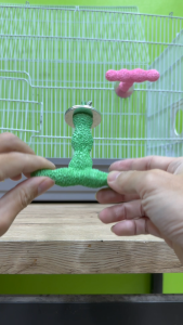 คอนทรายลับเล็บนก แบบง่าม 3 แฉก – สำหรับหงส์หยก เลิฟเบิร์ด นกเล็ก 9x10 CM