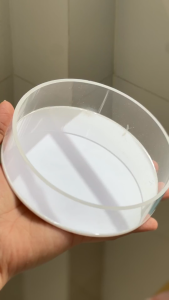 Chén đựng thức ăn cá cảnh côn trùng khay ăn mini cho bọ reptile thú nhỏ nhựa an toàn - kích thước 80mmx80mm - RED DIY - C01T