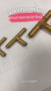 ข้อต่อทองเหลือง ข้อต่อสามทางหางปลาทองเหลือง SFC