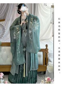 Elegant Green Hanfu Womens Clothing Song Dynasty Style Sleeveless Cheongsam Skirt with Pleats up to Waistline for Daily Wear