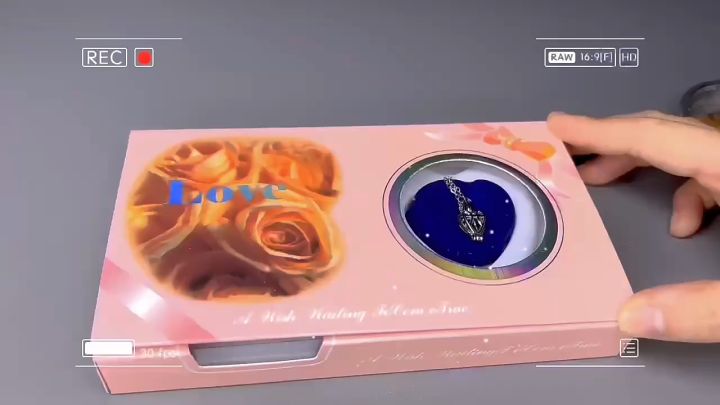 Natural Oyster Wish Pearl Vacuum Gift Boxes Kalung Mutiara Kerang Asli