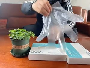 ACS Disposable PE Gloves (200pcs) 一次性PE加厚塑料手套