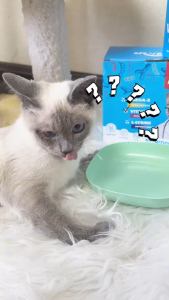 Pate Cho Mèo MRVET Thức Ăn Ướt Bổ Sung Omega 3 Vitamin L-Lysine Điều Hòa Tiêu Hóa Tăng Đề Kháng