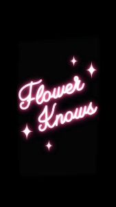 FLOWER KNOWS Cherry Love Eyelash Curler (Penjepit Bulu Mata) FLOWER KNOW FLOWERKNOWS LIMITED EDITION Original