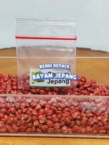 Benih Bayam Jepang Unggulan Berkualitas Biji Bibit repack Horenso tanaman hijau hydroponik hidroponik sayur sayuran pot