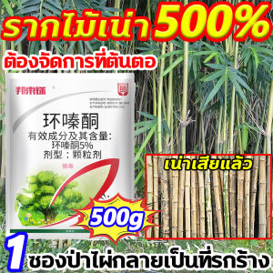 ฆ่าไม้ไผ่ทุกชนิดได้ง่ายๆ ยาฆ่าตอไม้ 500G ยาฆ่าต้นไผ่ บอกลาการตัดต้นไม้ด้วยตนเอง ไม่เป็นอันตรายต่อดิน สารกําจัดกอไผ่
