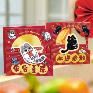 Rotating New Year Card 2025 Ancient Style Festive Greeting Card Spring Festival Blessing Message Card Thank You for Coming to My Home