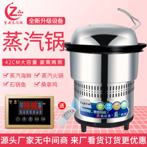 Zankang Smart Steam Seafood Pot Steam up and down Cooking Household and Commercial Dual-Use Equipment Multi-Functional Electric Steamer Straw Hat Stone Pot Fish