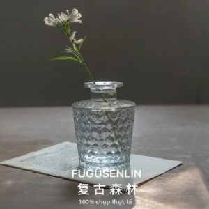 Lọ Hoa Thủy Tinh Chạm Nổi Kiểu Pháp Cổ Điển Đường Kính Nhỏ Dùng Cắm Hoa Trồng Cây Thủy Canh Đựng Nước Hoa Lọ Hoa Thủy Tinh Nhỏ