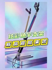 LONGWANGHEN | Giá Đứng Câu Cá Inox Nhiều Màu Có Thể Tháo Rời