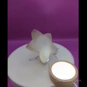 星形白水晶 star shaped clear quatz
