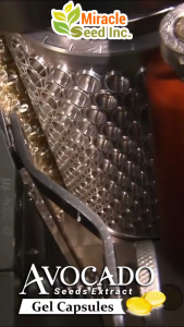 Avocado Seeds Extract Gel