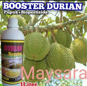 Pupuk Durian Buah Lebat Cegah Hama Daging Tebal Anti Rontok Bunga Pupuk Pemacu Pembuahan Durian
