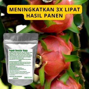 Pupuk Booster Naga Pelebat Organik Cepat Berbuah Lebat Besar Anti Rontok Pembesar Naga
