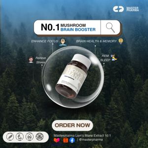 Lions Mane Mushroom Extract 10:1 Masterpharma Single