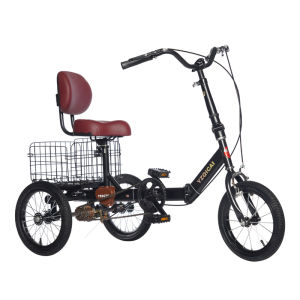 YUANZHENQICAI |Foldable Lightweight Leisure Tricycle for the Elderly