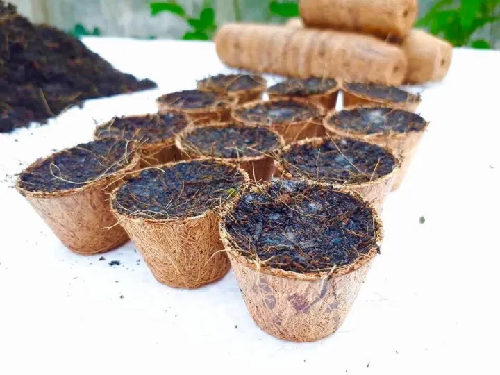 กระถางใยมะพร้าวธรรมชาติ 12 ใบ ขนาดเล็ก เพาะเมล็ดพืช