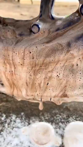 【สั่ง 1 ได้ถึง 14】SUPER WASH กลิ่นพีช น้ำยาแชมพูล้างรถ ประสงค์ผสมแว็กซ์ แชมพูล้างรถ แชมพูล้างรถฟองนุ่ม แชมพูล้างรถฟองหนา ลบคราบได้อย่างมีประสิทธิภาพ สูตรล้างและเคลือบเงา รถยนต์ Car Wax