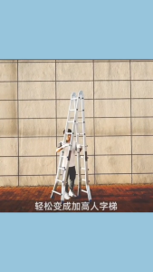 5 Step Giant Ladder Extendable and Foldable Multi-functional