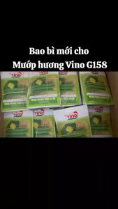 Hạt Giống Mướp Hương VINO G158 VINO (Gói 10gr) - Sinh trưởng mạnh kháng bệnh trái thuôn dài