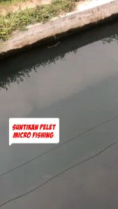 Baitpump Umpan Tanago Wadah Pelet Micro Fishing Bait Dispenser Suntikan Microfishing Pompa Pancing