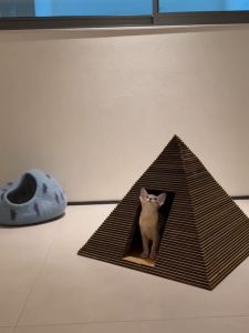 Pyramid Cat Bed And Scratching Board Integrated Free Standing Wear Resistant Non Shedding All Season Universal Cat Toy Pet Supplies