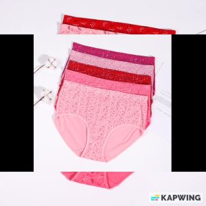 Celana Dalam Jumbo 3XL (35x30cm) Underwear Undies Wanita Art 1028