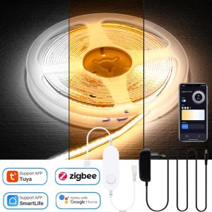 1M-5M Zigbee COB CCT LED Strip Light 24V Double Color Flexible Dimmable Cupboard Wardrobe Decor Lamp for Alexa Google Assistant