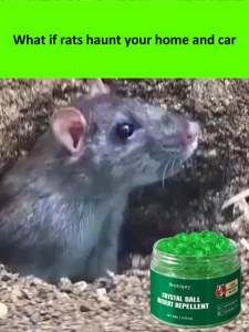 【2025 new upgrade】moonspry rat repellent mouse repellent mouse killer natural no chemical pest control product garden household penghalau tikus ubat halau tikus racun tikus 老鼠驱赶器