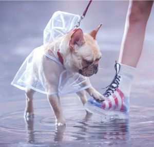 TeekerPet Waterproof Dog Raincoat: A Stylish & Practical Solution